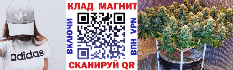Магазин наркотиков Балахна Галлюциногенные грибы КОКАИН А ПВП ГАШ МАРИХУАНА