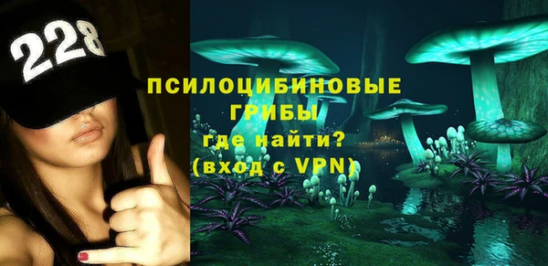 винт Переславль-Залесский