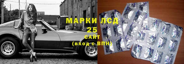 мяу мяу мука Пересвет