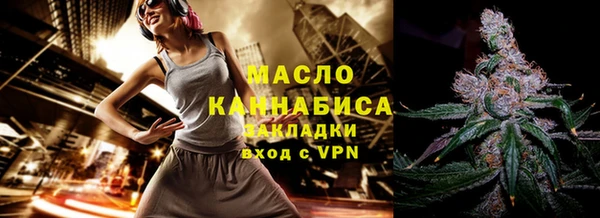индика Пестово